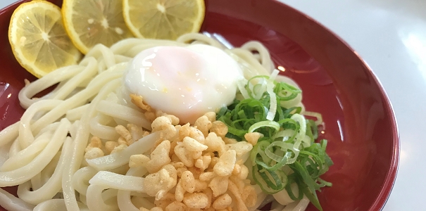 Cold Udon noodle